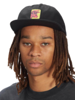 DC Andy Warhol Cow Snapback