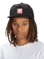 DC Andy Warhol Life and Death Snapback