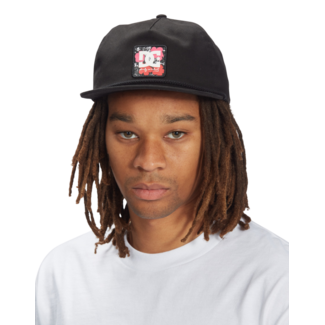 DC Andy Warhol Life and Death Snapback
