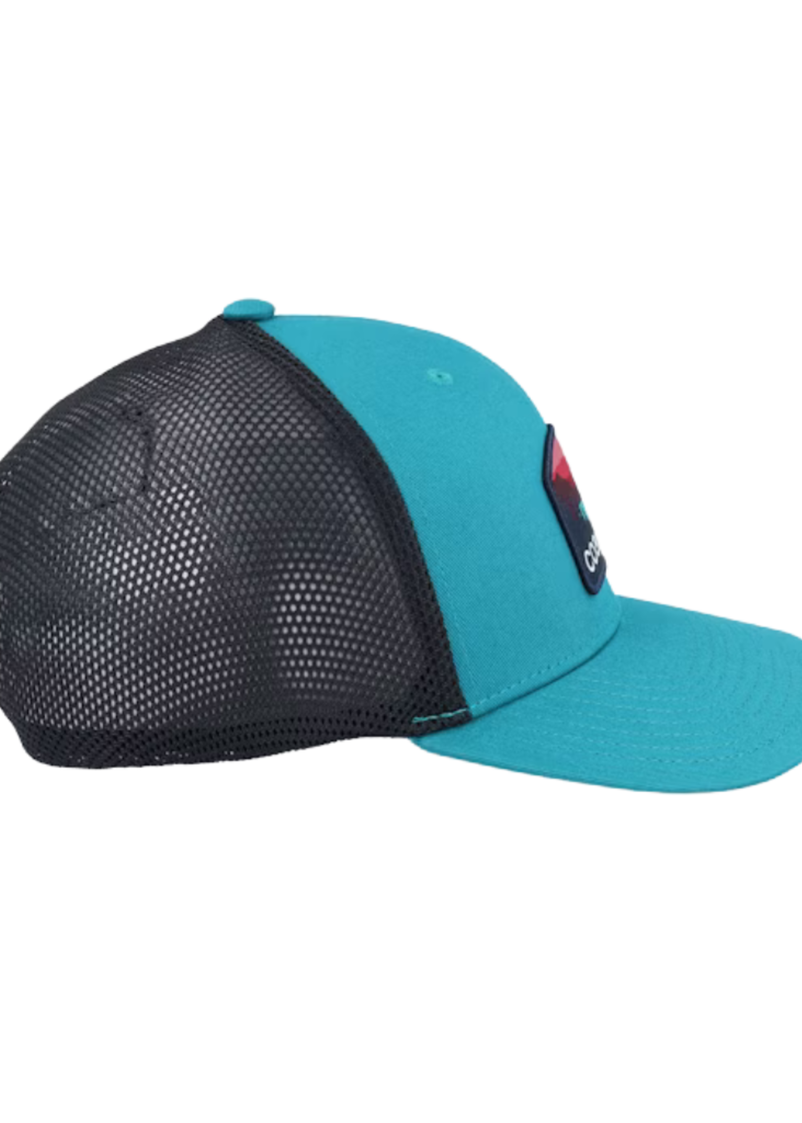 Coal Hauler Low one Snapback