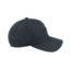 Coal Encore  Low Profile Dad Snapback