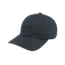 Coal Encore  Low Profile Dad Snapback