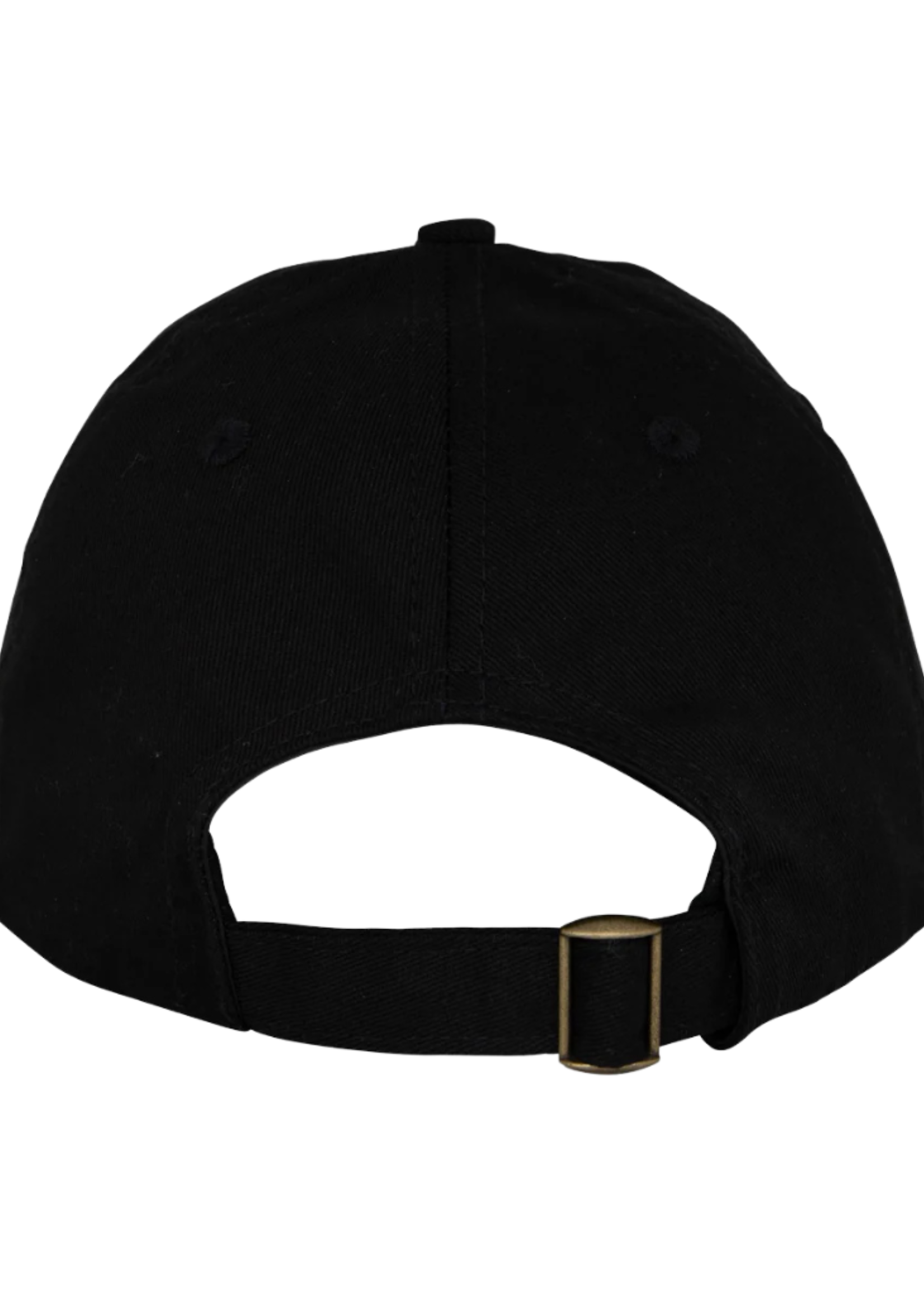 Santa Cruz Opus Dot Dad Hat