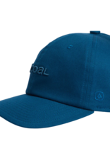 Coal Encore  Low Profile Dad Snapback