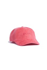 Coal Encore  Low Profile Dad Snapback