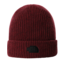 The North Face City Street Beanie | Cordovan