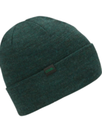 Coal The Mesa Beanie