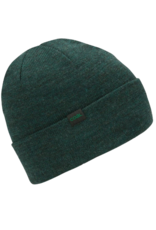 Coal The Mesa Beanie