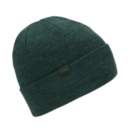 Coal The Mesa Beanie