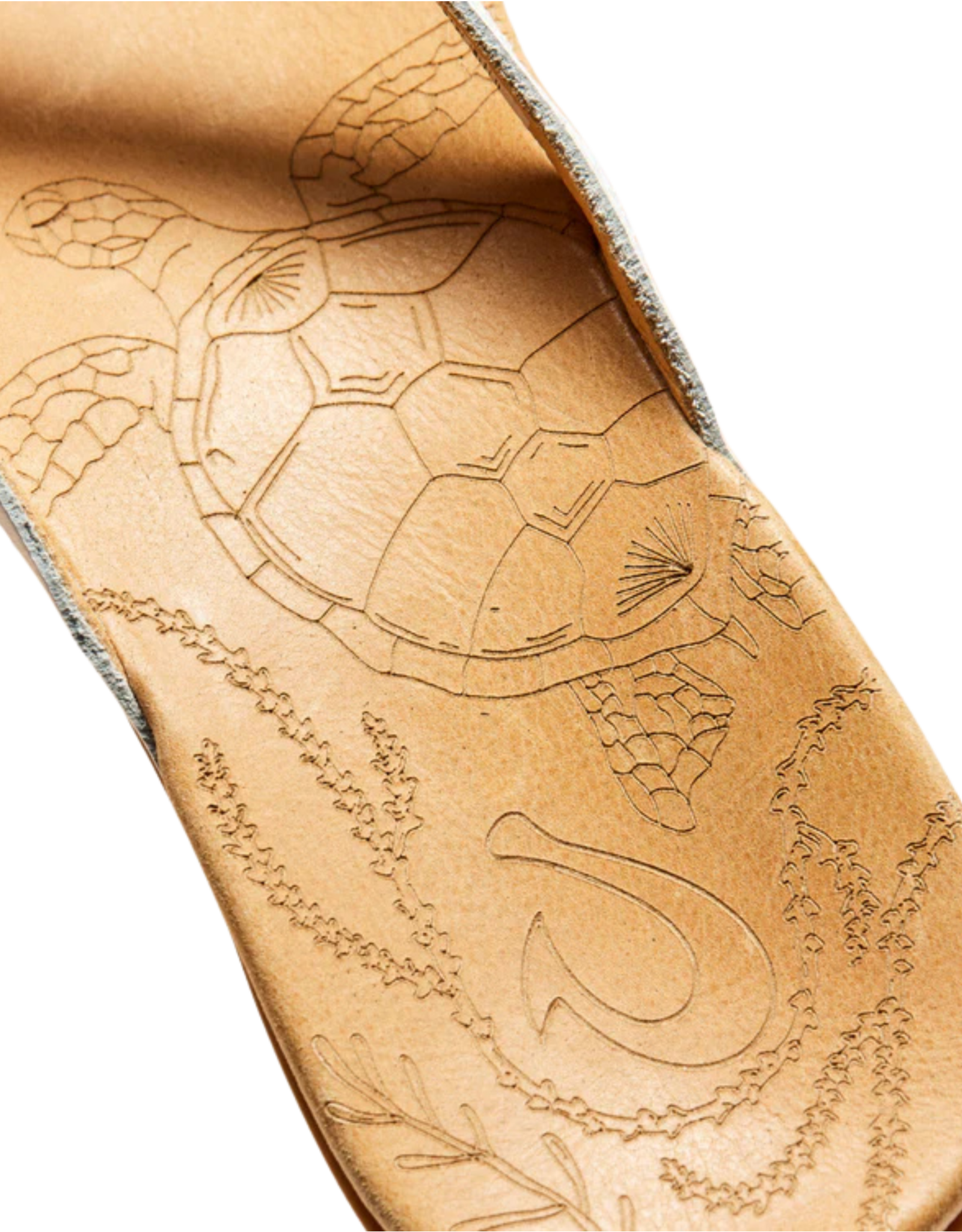 Olukai Women's Honu Leather Sandal