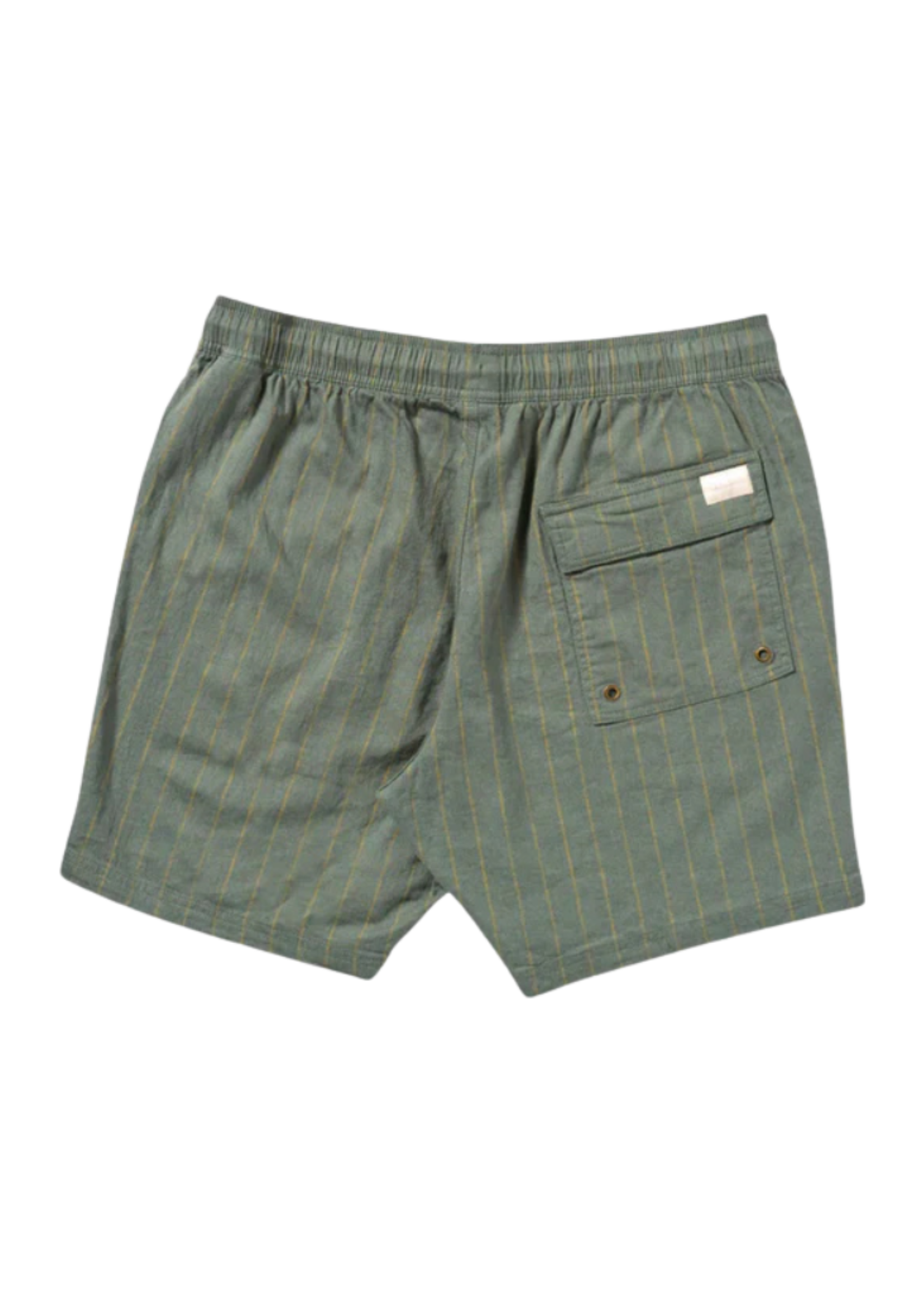 RVCA Sands Elastic 17"