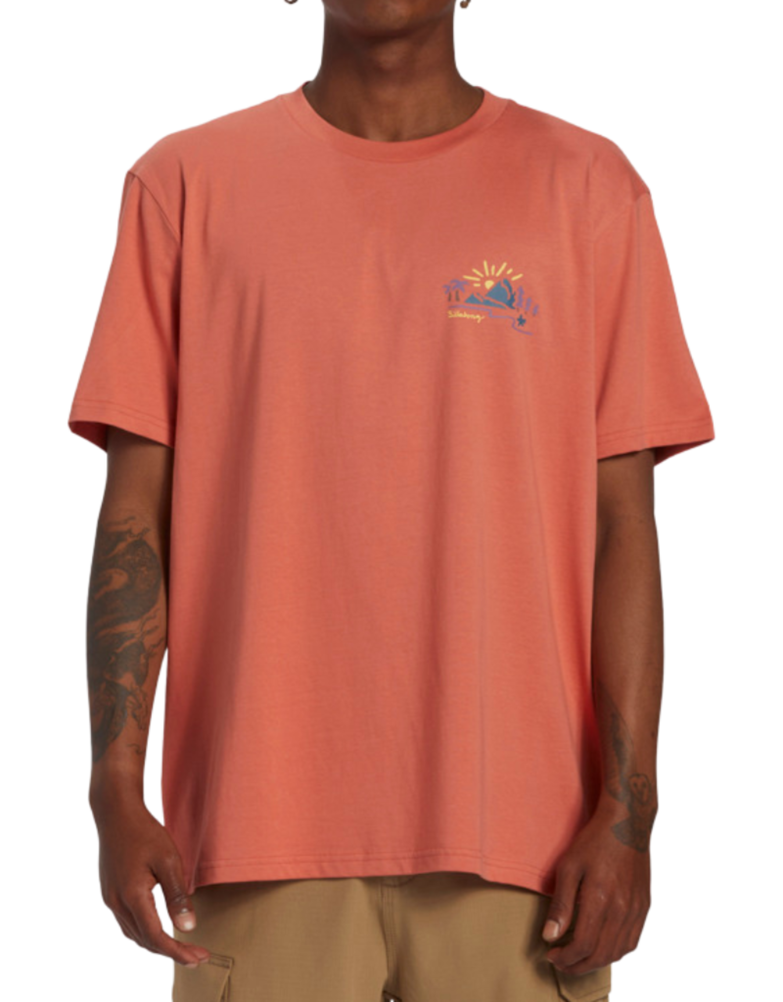 Billabong Men's Panorama Short Sleeve Tee