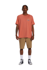 Billabong Men's Panorama Short Sleeve Tee