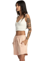 RVCA Test Drive Short