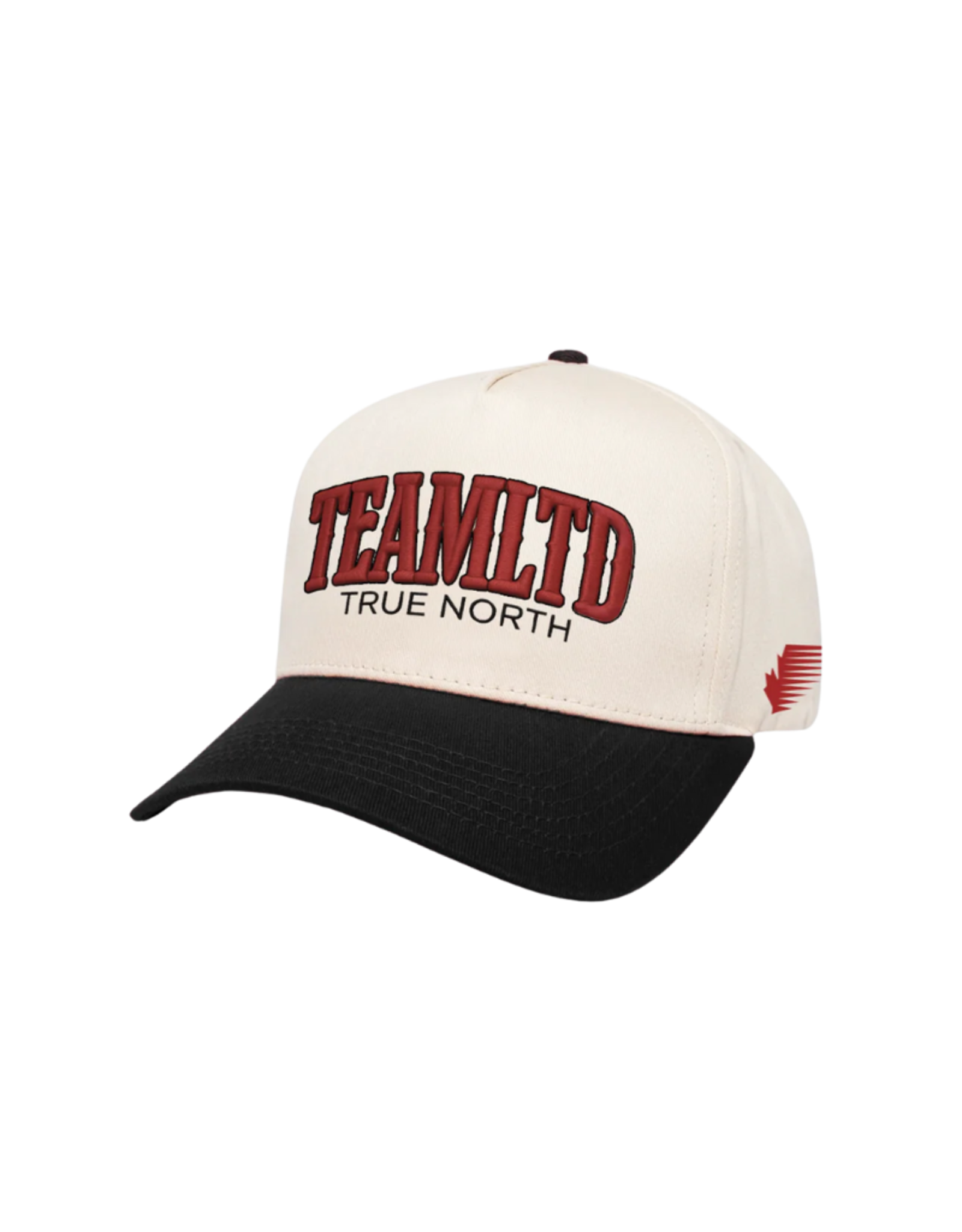TEAMLTD True North Snapback