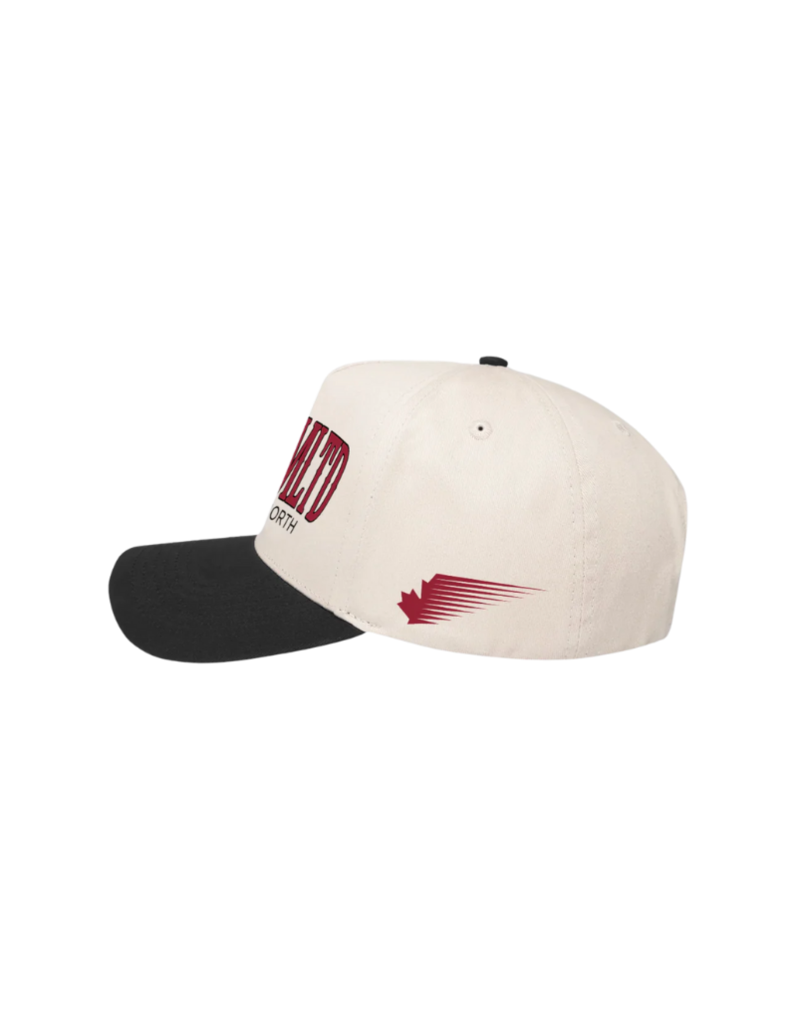 TEAMLTD True North Snapback
