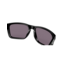 Oakley Holbrook XL