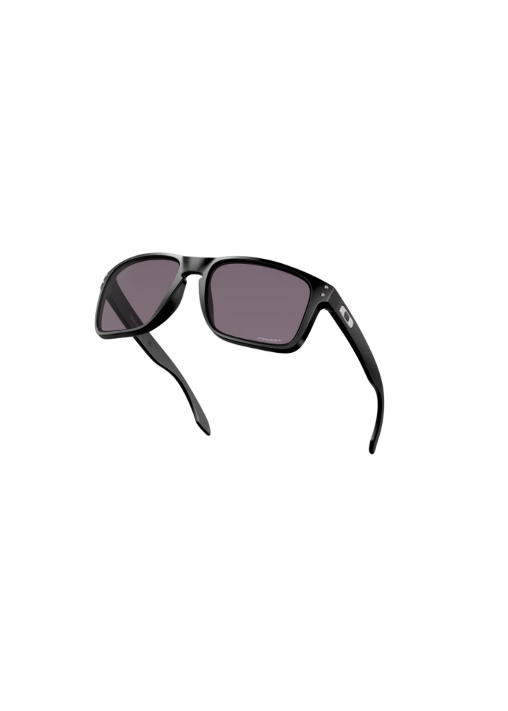 Oakley Holbrook XL
