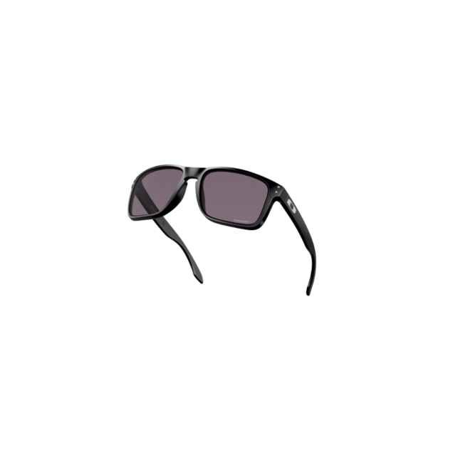 Oakley Holbrook XL