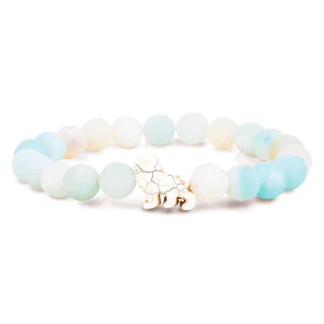 Fahlo Wildlife Tracking Bracelet - Lion