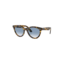 Wayfarer Way