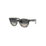 Wayfarer Way