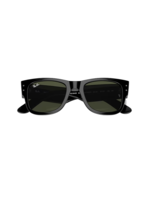 Ray-Ban Mega Wayfair Black & Green