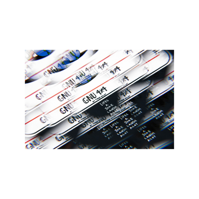 GNU Men's 4x4  Forest Bailey Directional Snowboard - 160cm