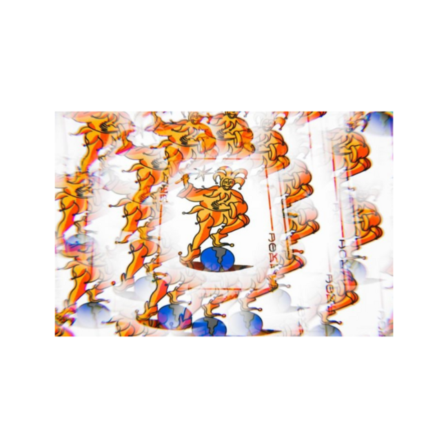 GNU Men's 4x4  Forest Bailey Directional Snowboard - 160cm