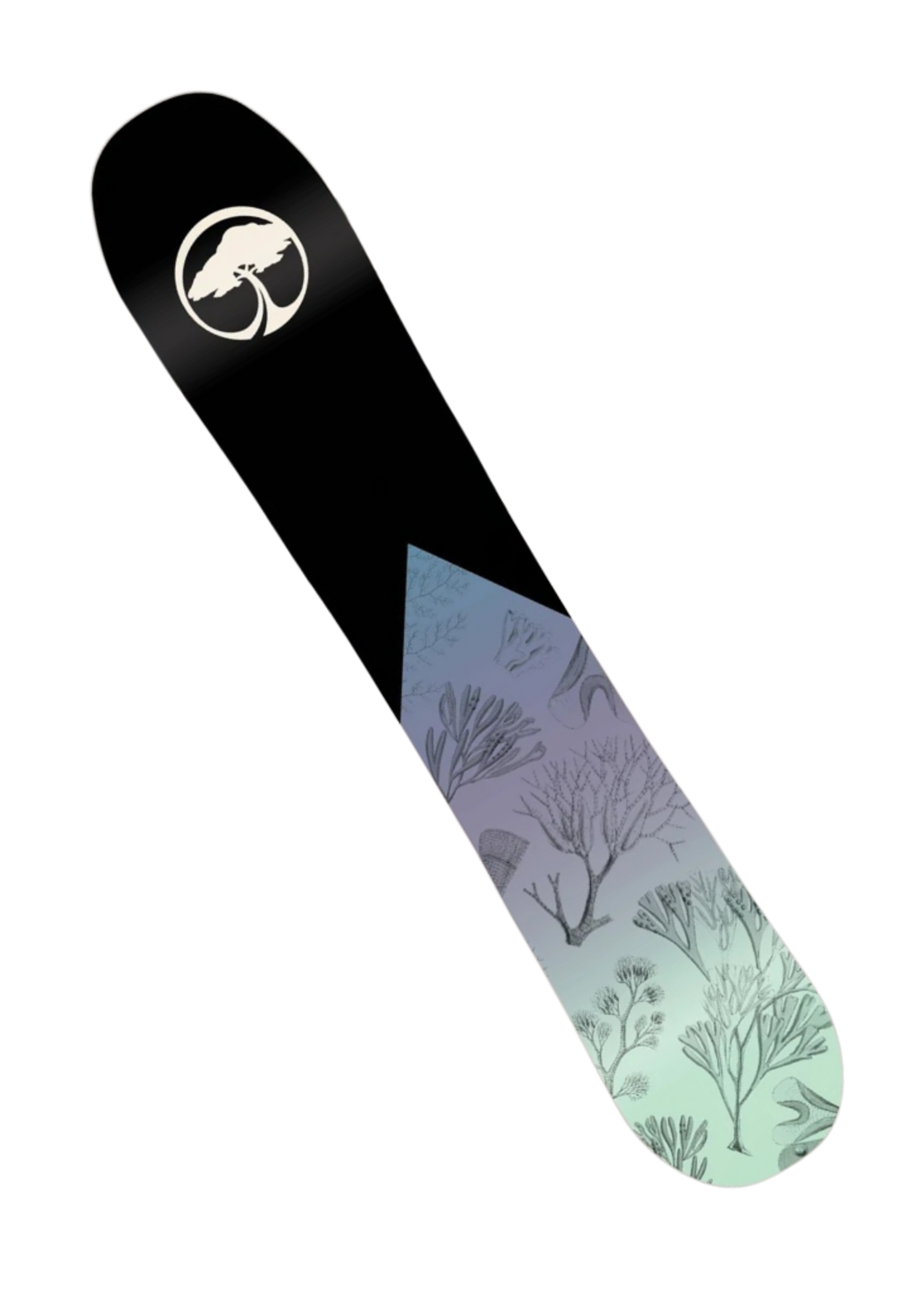 Arbor Women's Veda Camber Snowboard | 150cm