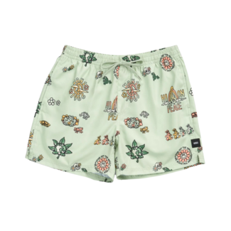 Vans Mixed Volley Short