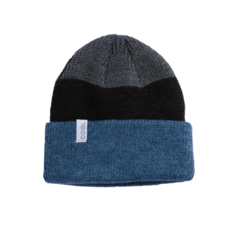 Coal Frena Thick Knit Cuff Beanie | Heather Slate Stripe