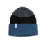 Coal Frena Thick Knit Cuff Beanie | Heather Slate Stripe