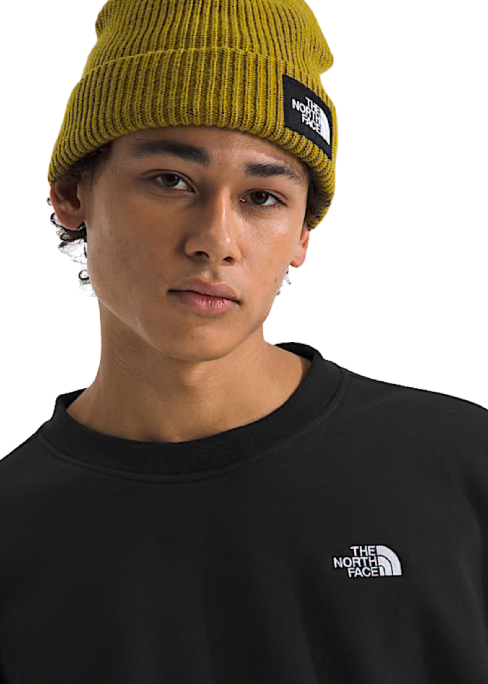 The North Face Men's Evolution Simple Dome Crew | TNF Black