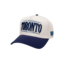 TEAMLTD Toronto Snapback | Navy