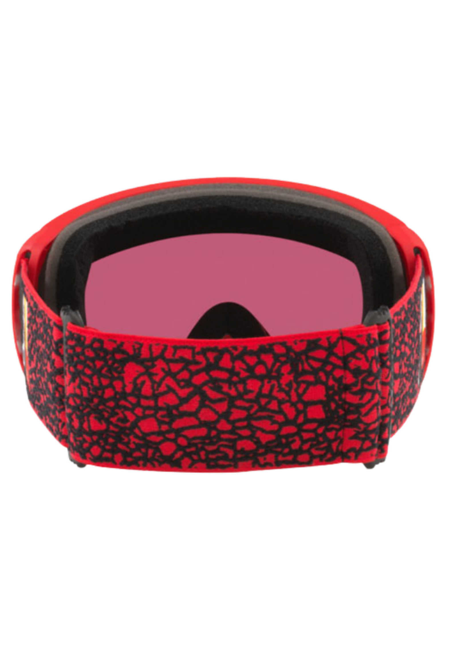 Oakley Flight Path Goggles  Large