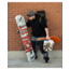 Lib Tech Men's Legitimizer Snowboard 2026