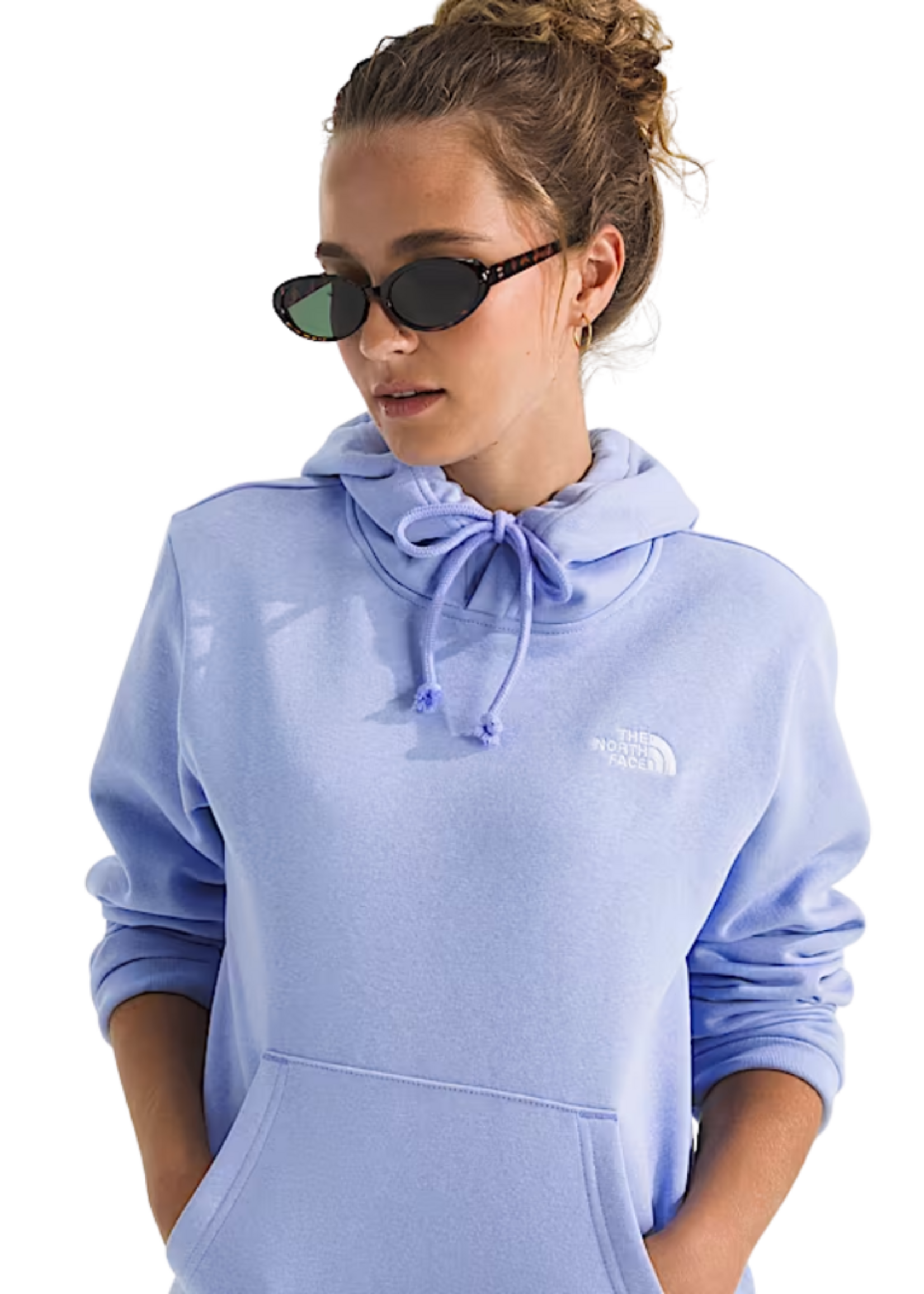 The North Face Evolution Simple Dome Hoodie | Periwinkle Glow