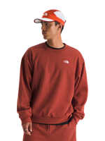 The North Face Evolution Simple Dome Oversized Crew | Iron Clay