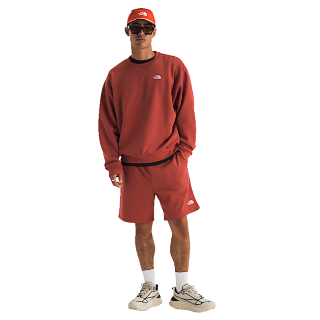 The North Face Evolution Simple Dome Oversized Crew | Iron Clay