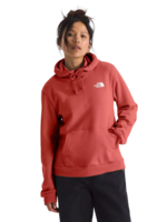 The North Face Women's Evolution Box NSE Fill Hoodie | Mars Dust