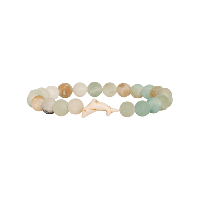 Fahlo Wildlife Tracking Bracelet - Dolphin