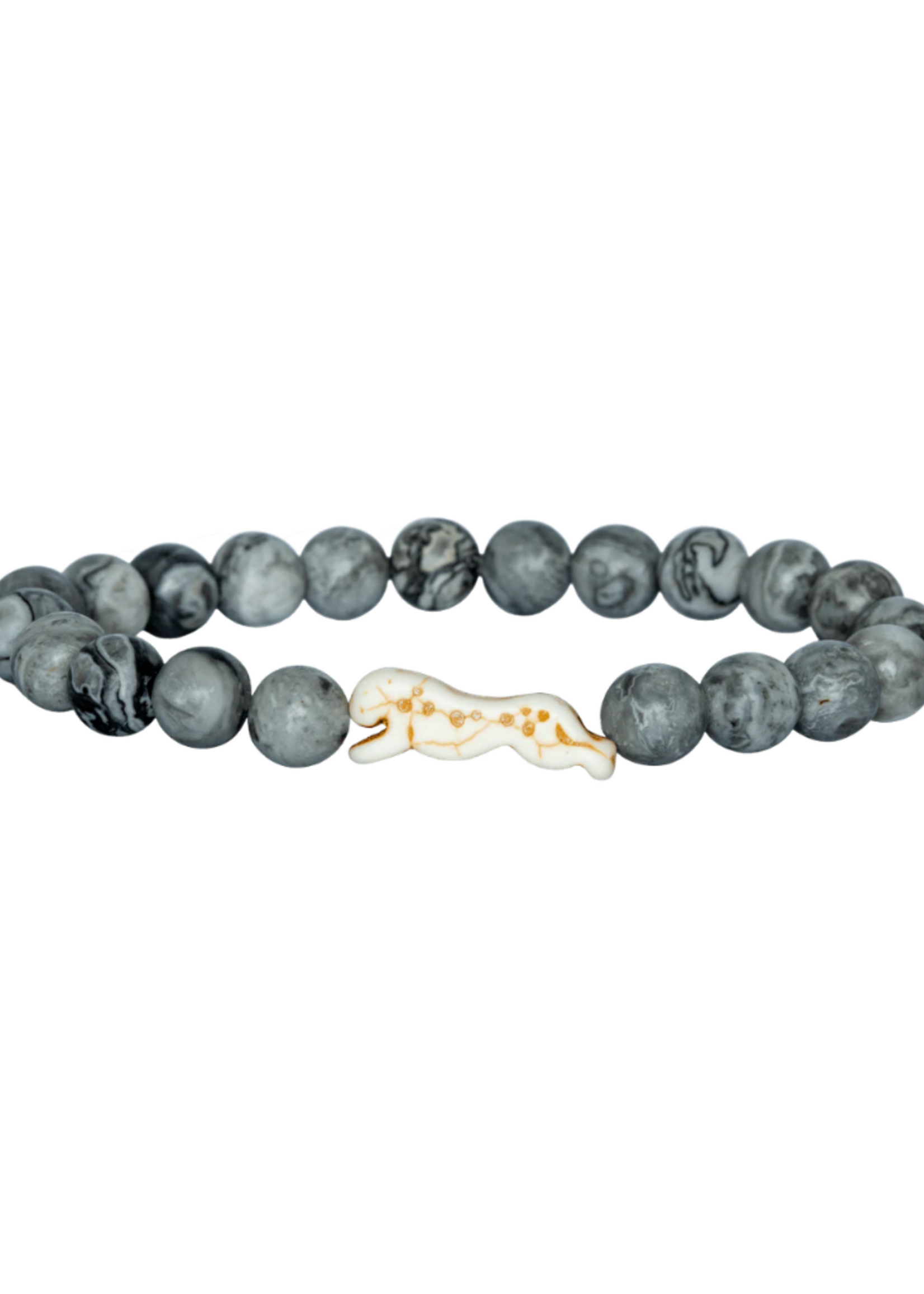 Fahlo Wildlife Tracking Bracelet - Cheetah