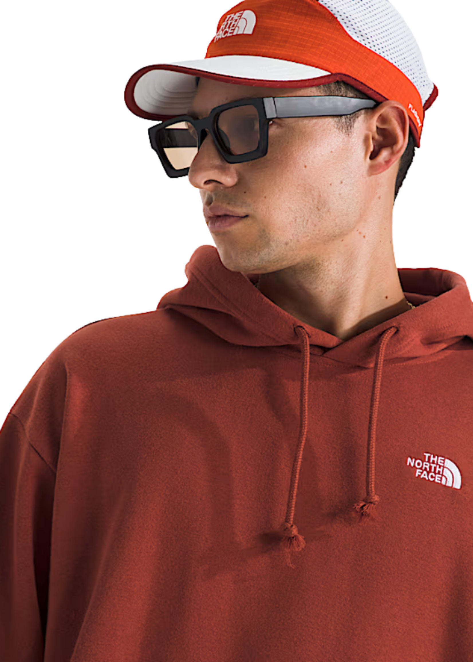 The North Face Men's Evolution Simple Dome Hoodie | Iron Clay