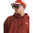 The North Face Men's Evolution Simple Dome Hoodie | Iron Clay