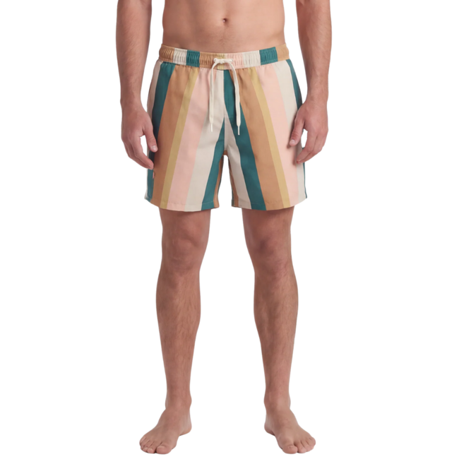 TEAMLTD Men's Classic 6" Elastic Waist Swim Short | Palette