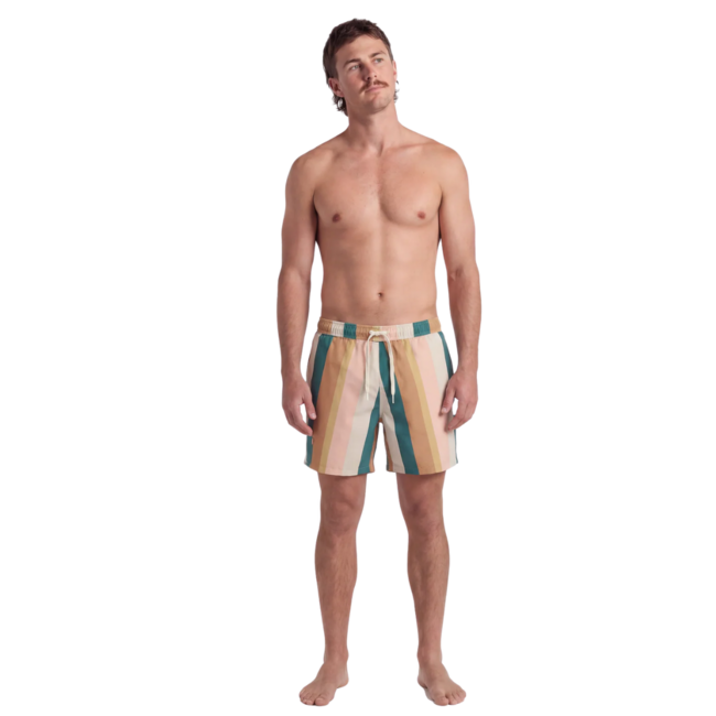 TEAMLTD Men's Classic 6" Elastic Waist Swim Short | Palette
