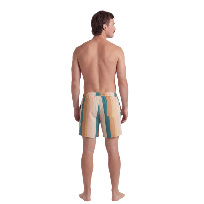 TEAMLTD Men's Classic 6" Elastic Waist Swim Short | Palette