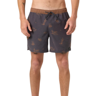O'Neill Hermosa Retro 17" Lined Swim Short | Phantom