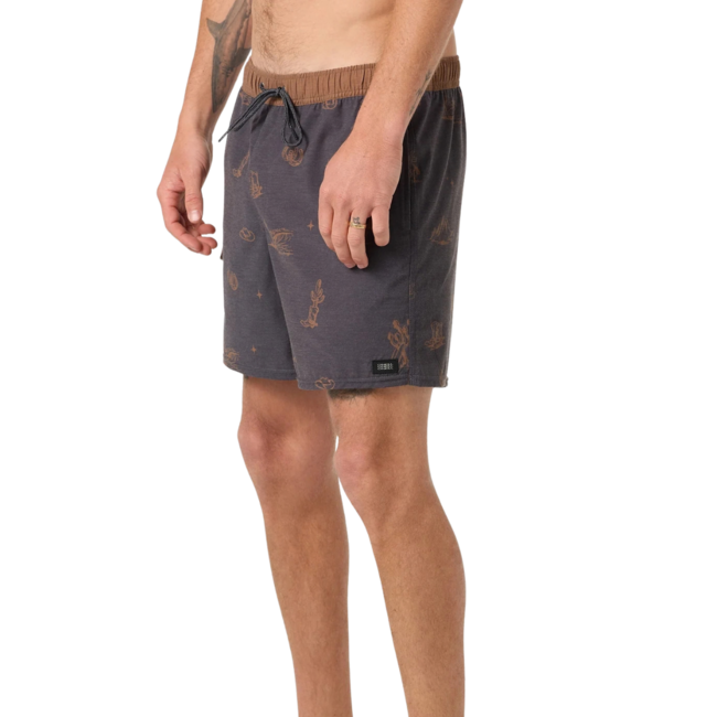 O'Neill Men's Hermosa Retro 17" Lined Swim Short | Phantom